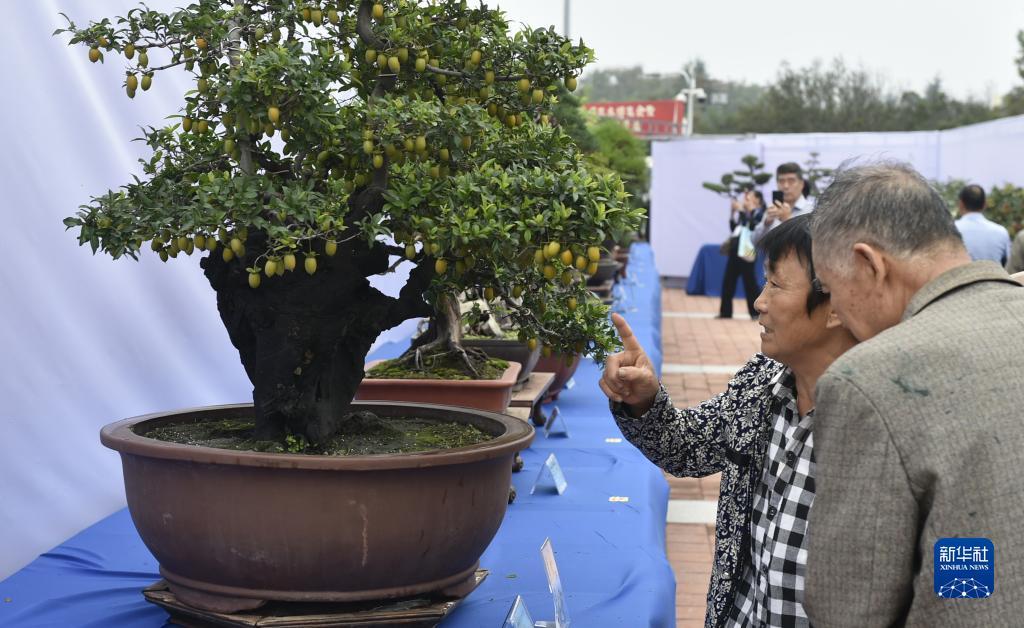 龙虎娱乐登录入口